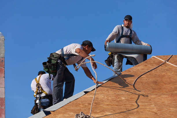 Best Storm Damage Roof Repair  in Lexington, MS