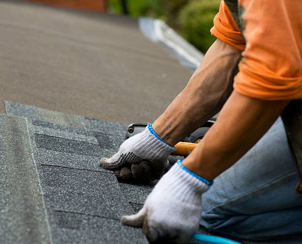 Best New Roof Installation  in Lexington, MS