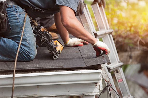 Roof Waterproofing Services in Lexington, MS